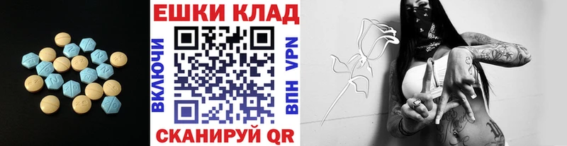 ЭКСТАЗИ Philipp Plein  Купить  Короча 