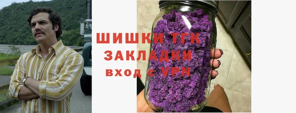 прущие грибы Аркадак