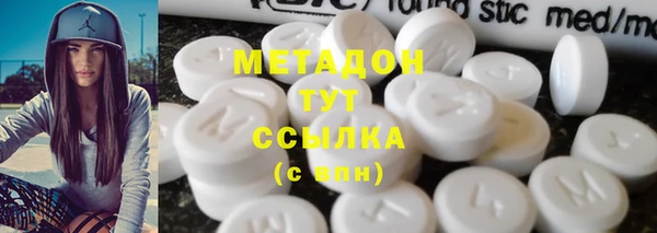 прущие грибы Аркадак