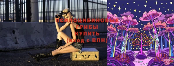 стаф Армянск