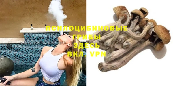 стаф Армянск