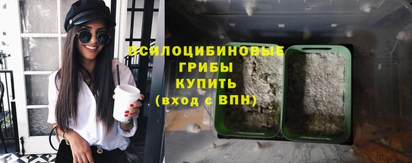 прущие грибы Аркадак