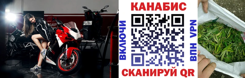 Купить где  Короча  Конопля гибрид 
